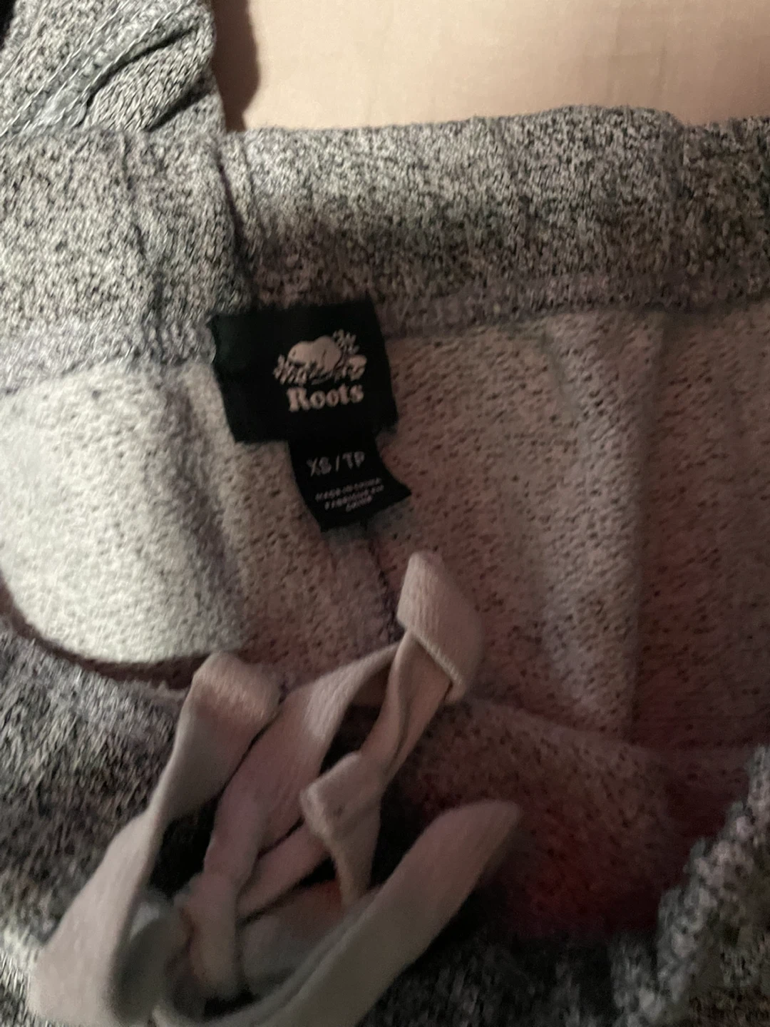 Roots Grey Heathered Hoodie - photo 4