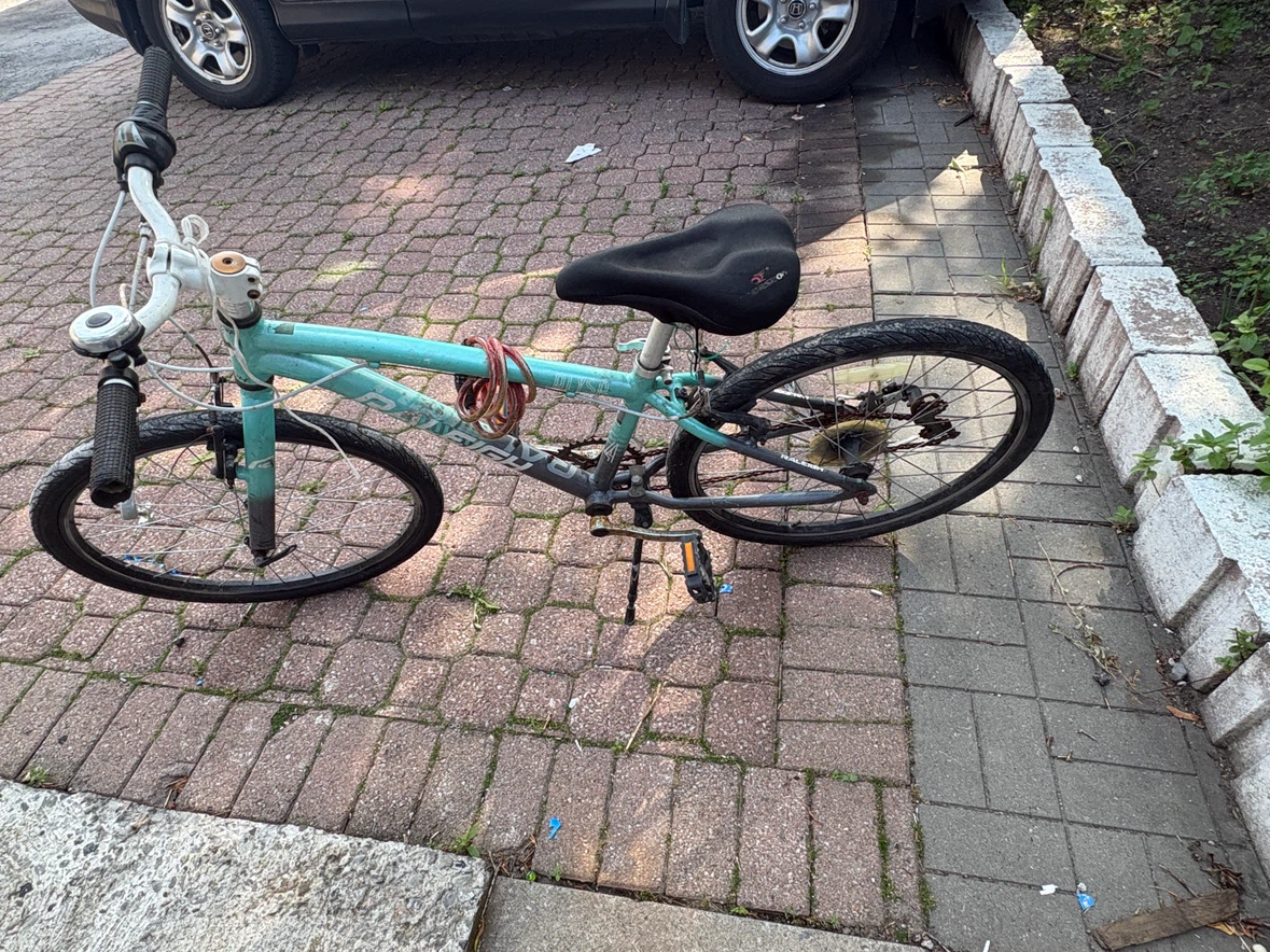 Raleigh Kids Bike - Teal 24 inch / only cash