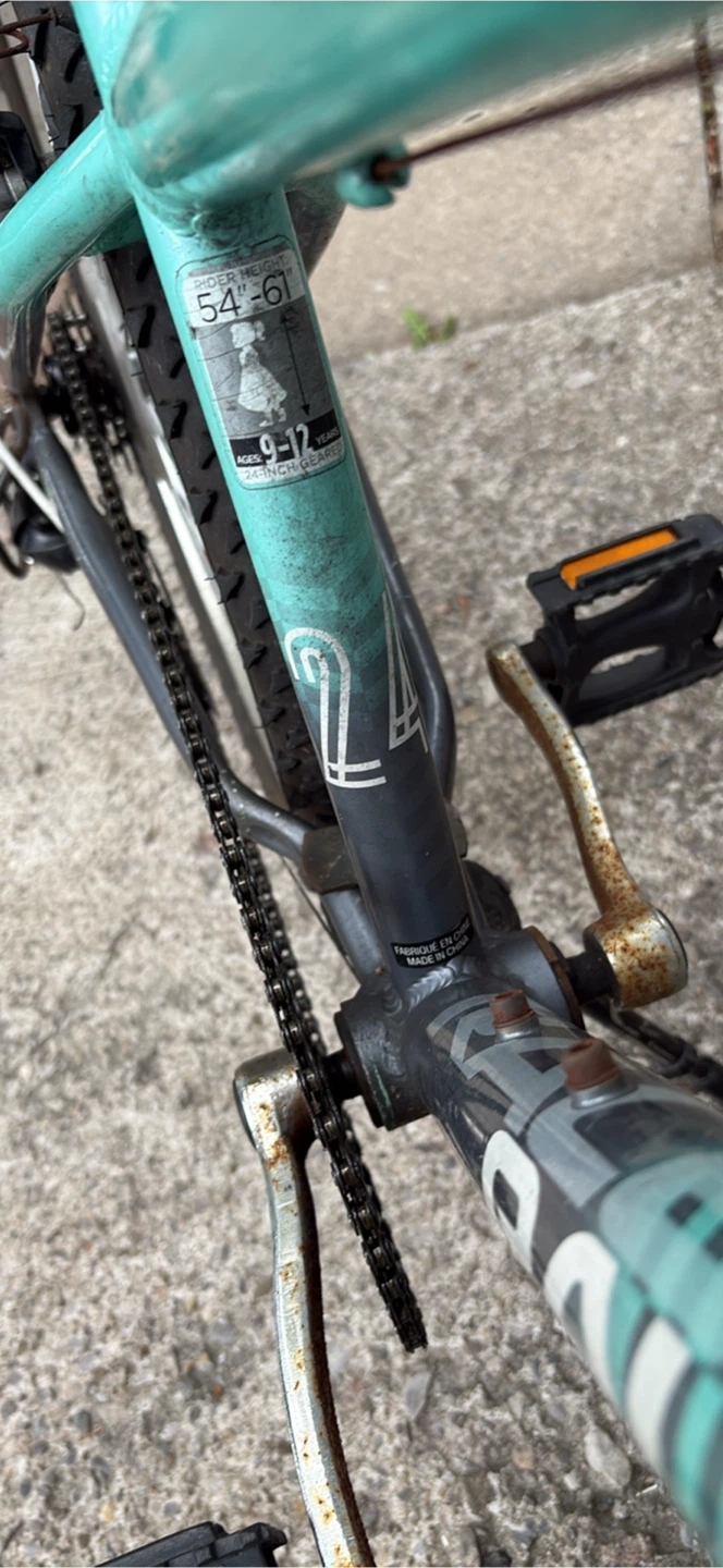 Raleigh Kids Bike - Teal 24 inch / only cash - photo 3