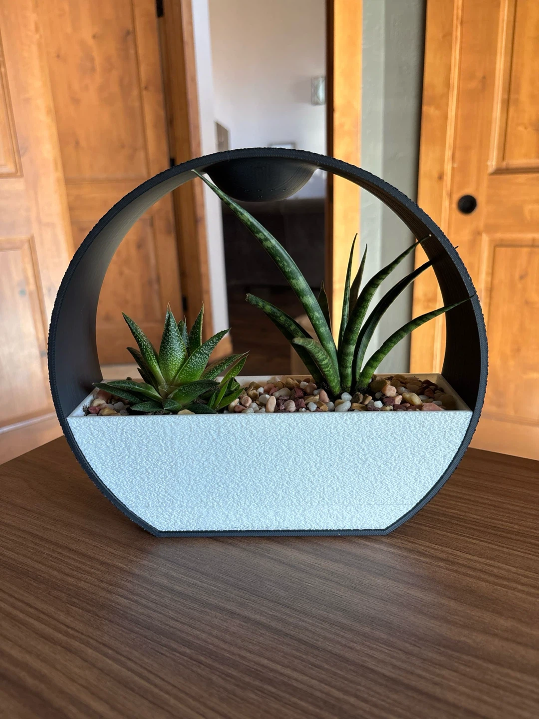 Modern Black and White Planter Pot