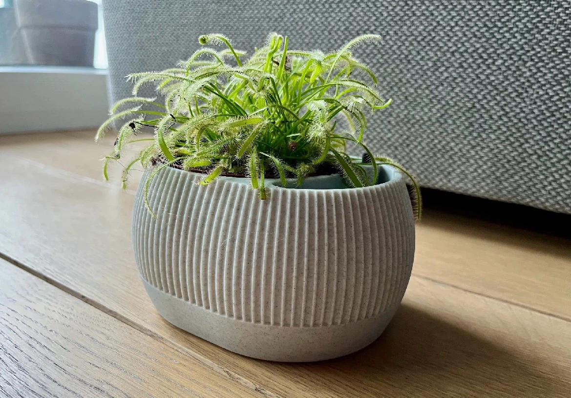Water level indicator plant pot