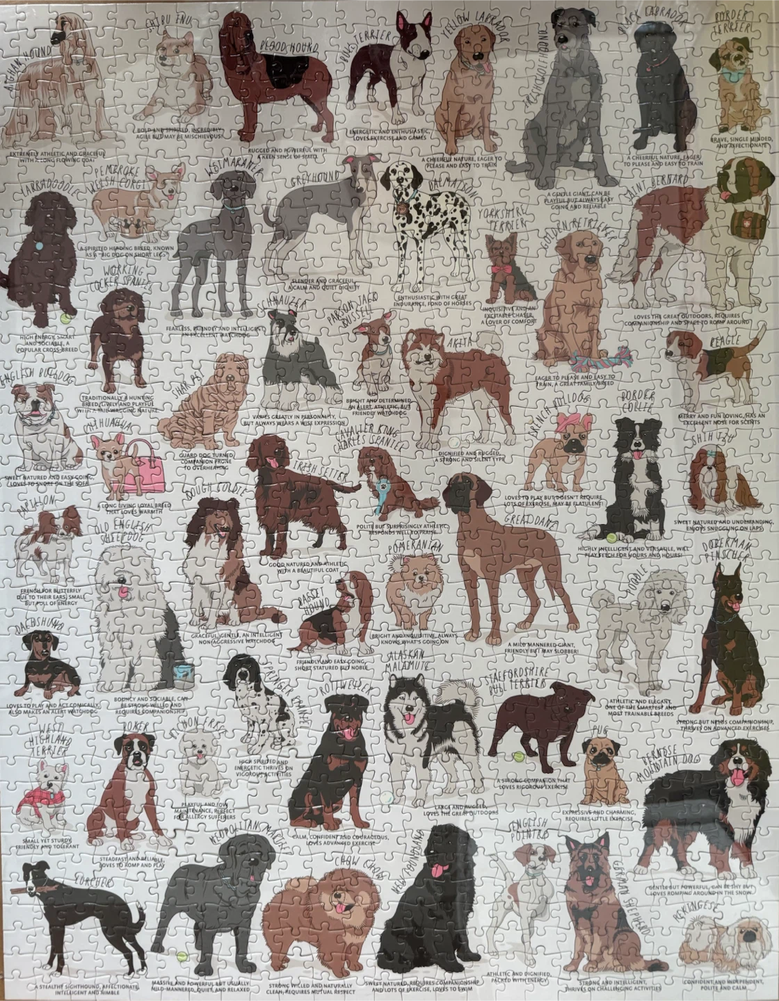 2 1000 Piece Jigsaw Puzzles - photo 2