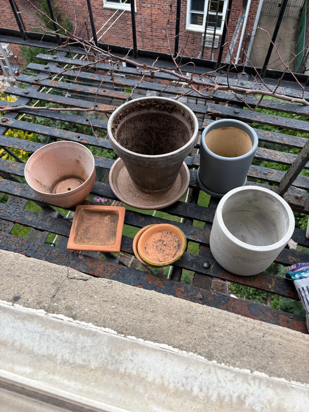Assorted Plant Pots and Saucers