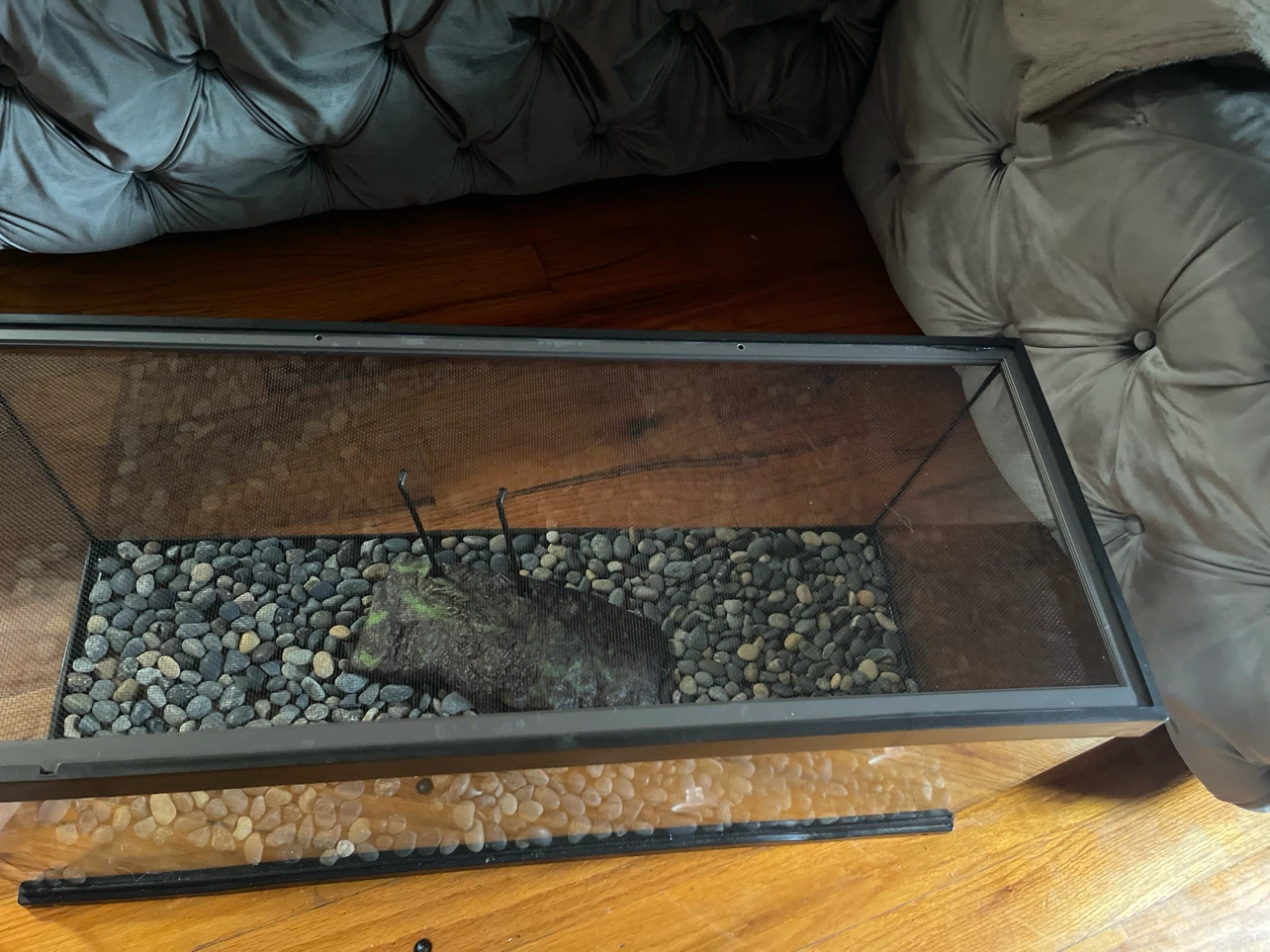 Zoo Med Reptile Terrarium with Heat Lamp and Turtle Food - photo 4