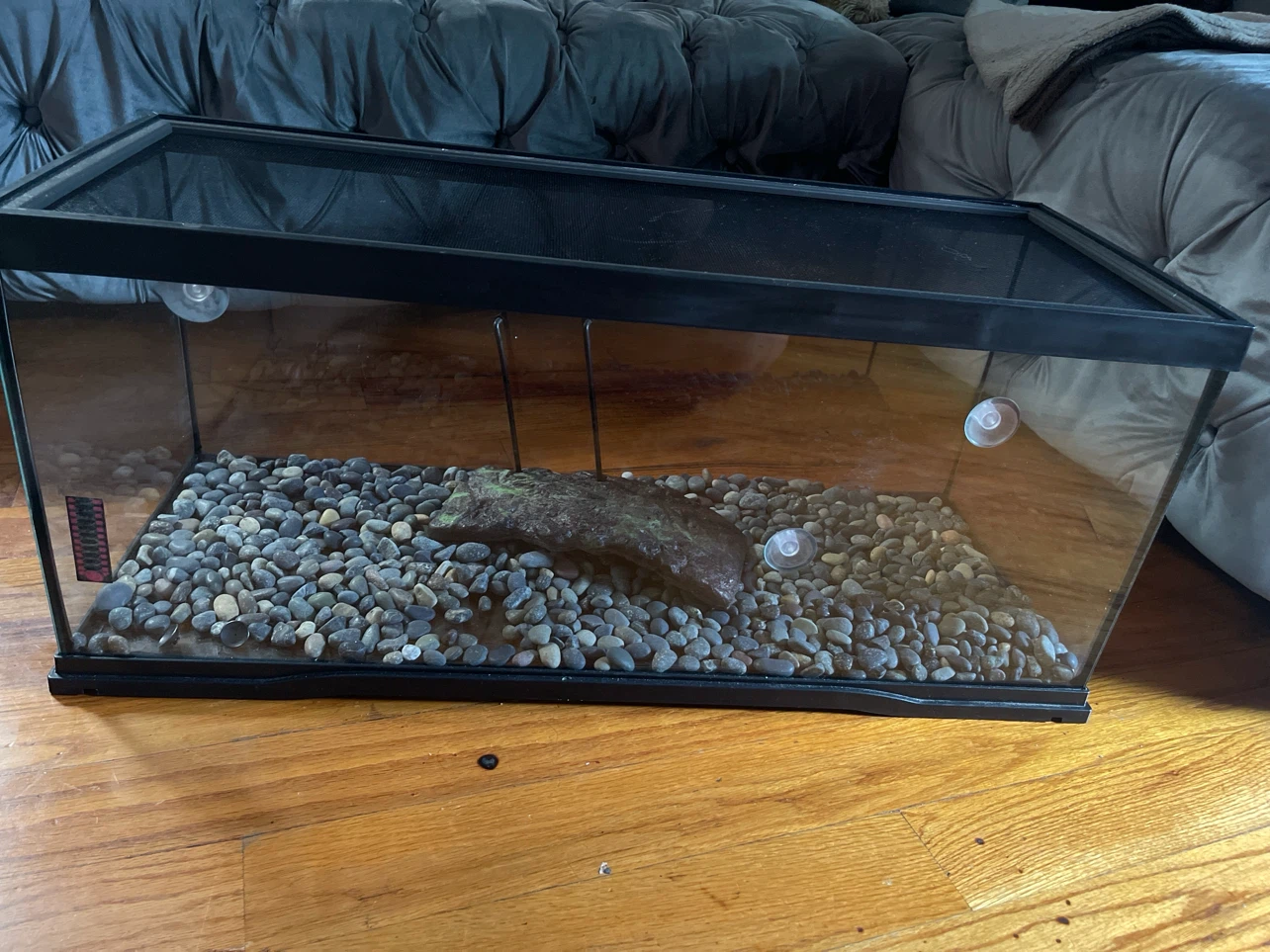 Zoo Med Reptile Terrarium with Heat Lamp and Turtle Food - photo 5