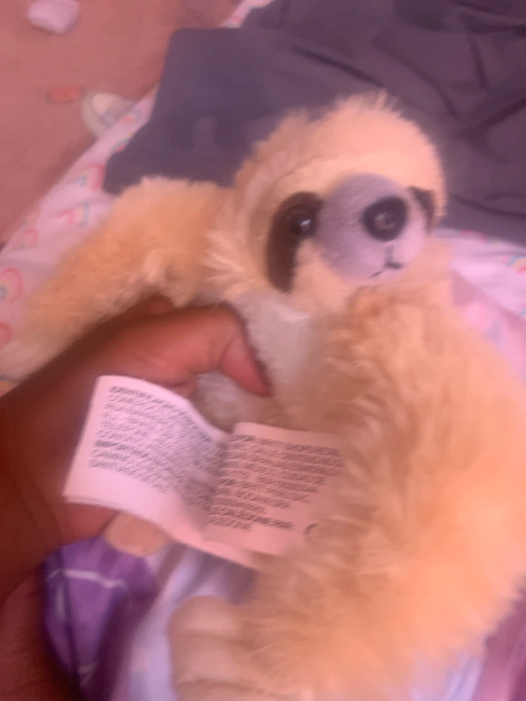 Plush Sloth Toy