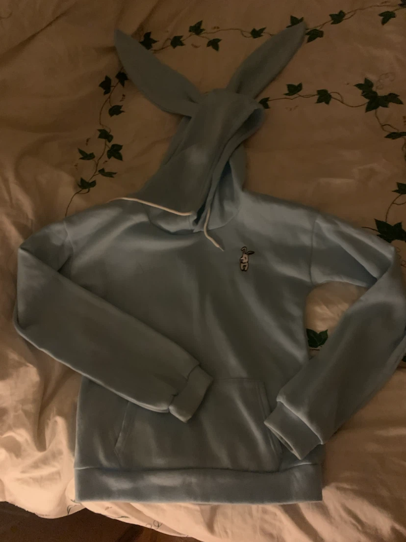 Light Blue Bunny Hoodie