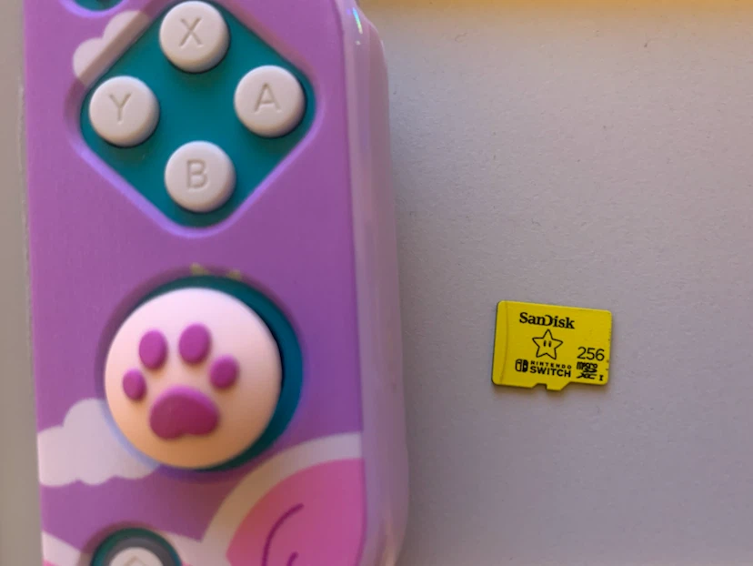 Chip modded switch lite - photo 5