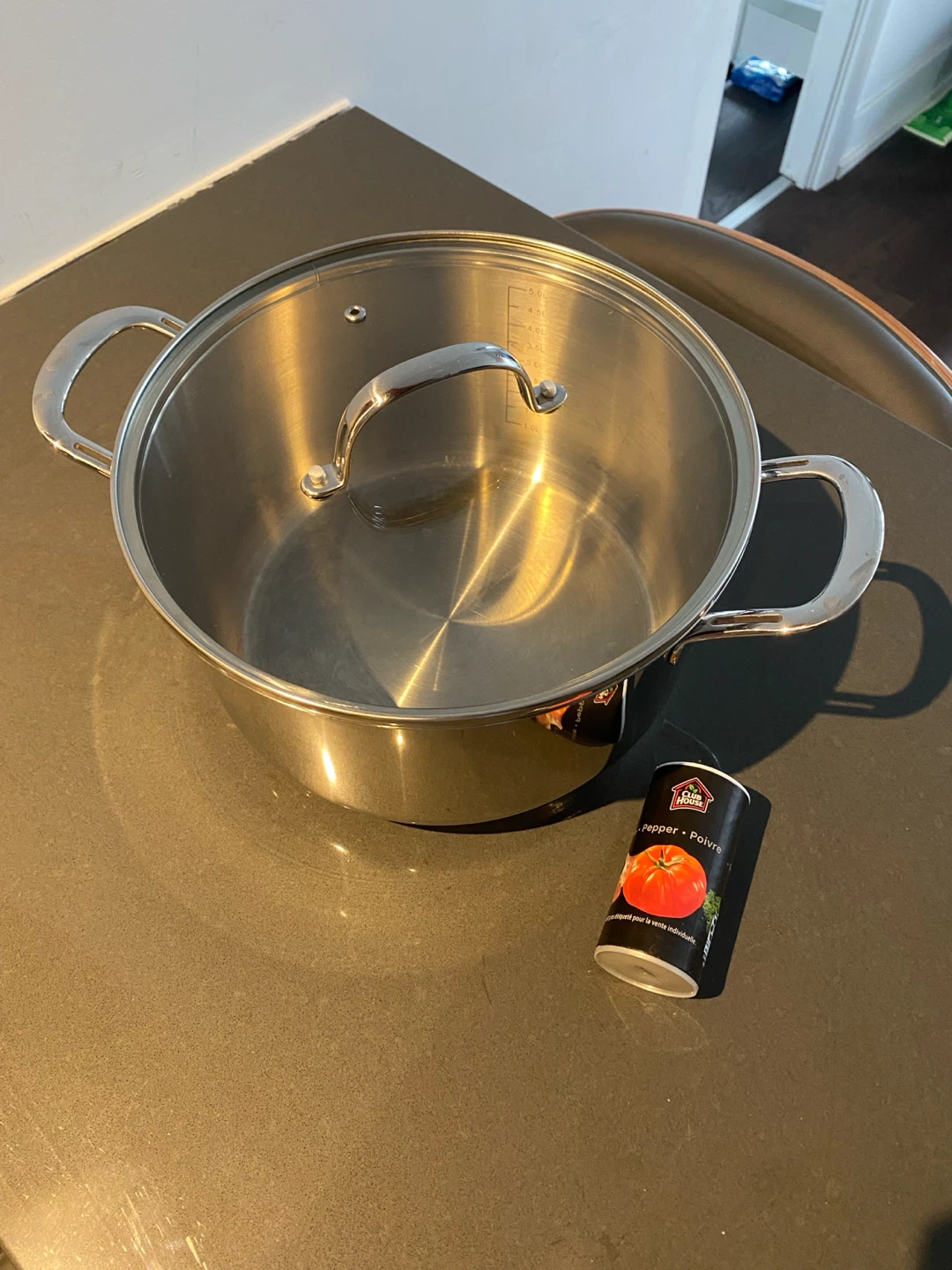 6L Stainless Steel Pot