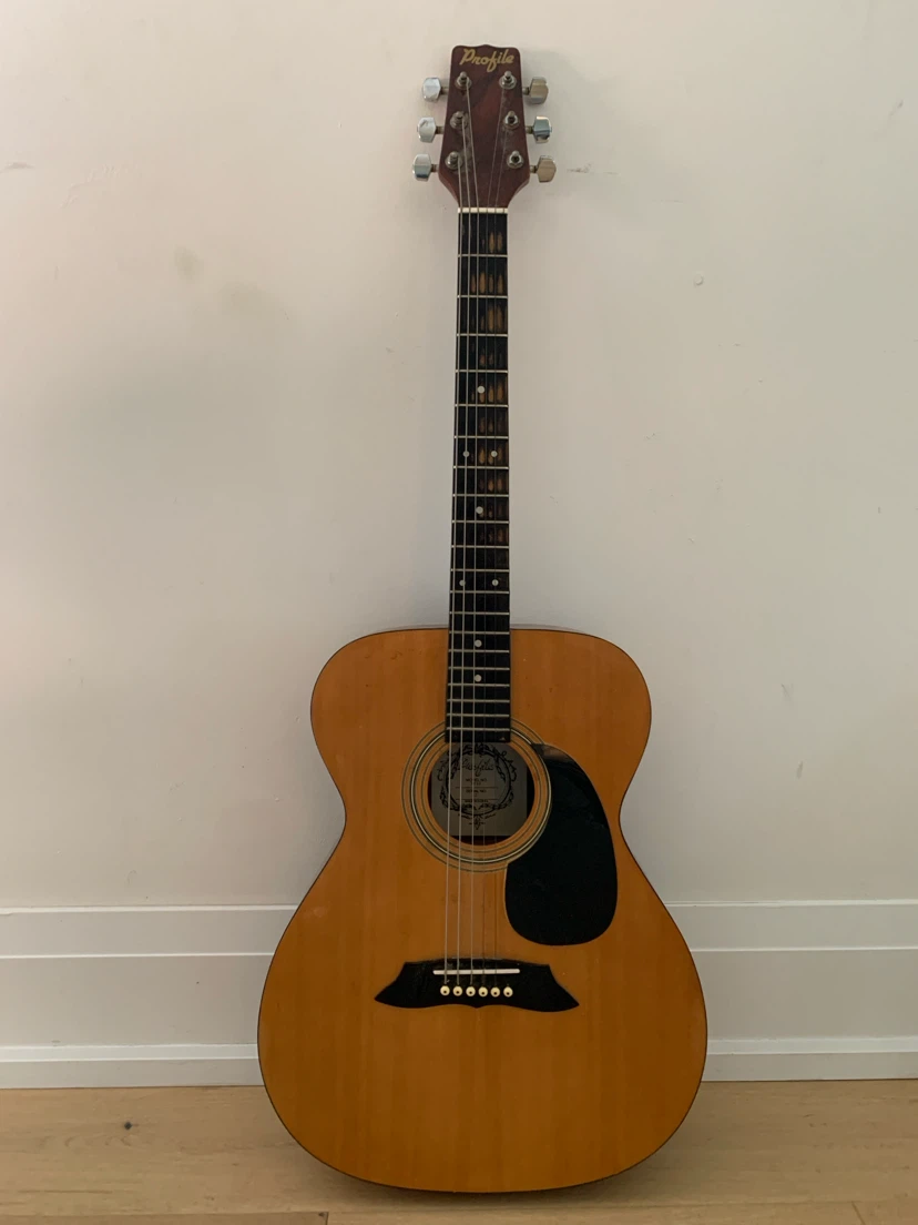 Profile Acoustic Guitar