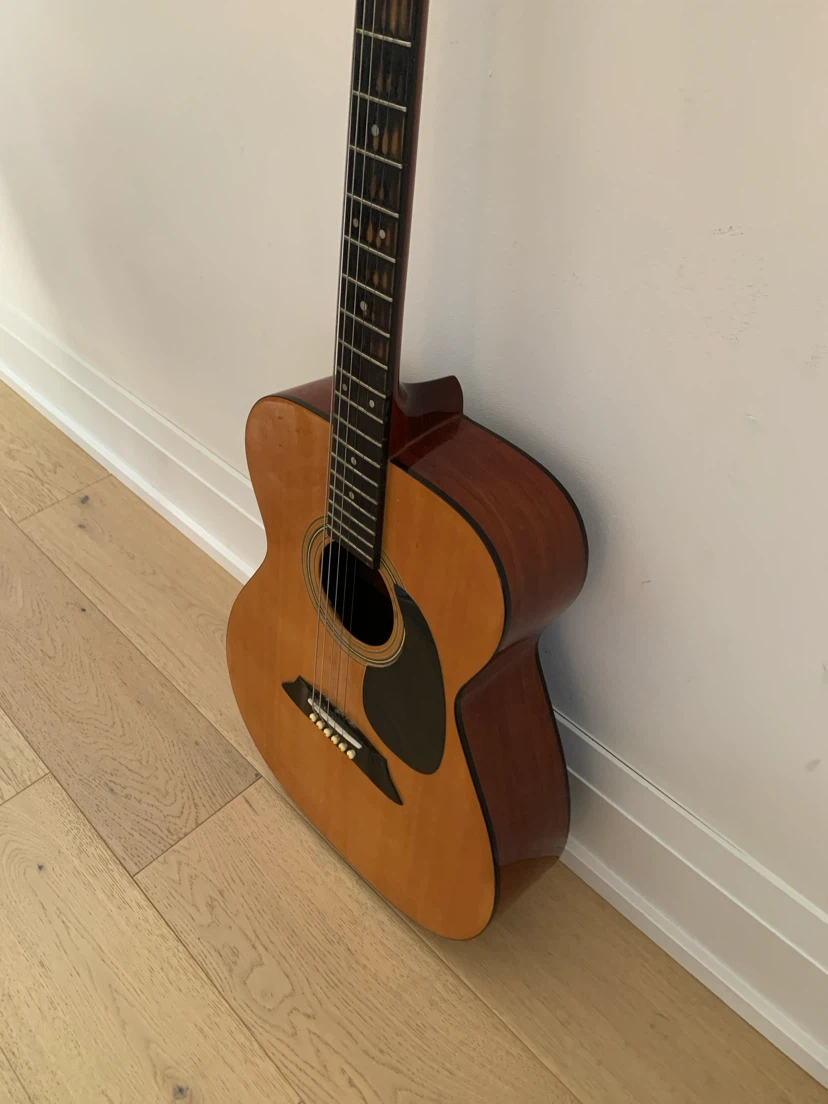 Profile Acoustic Guitar - photo 2