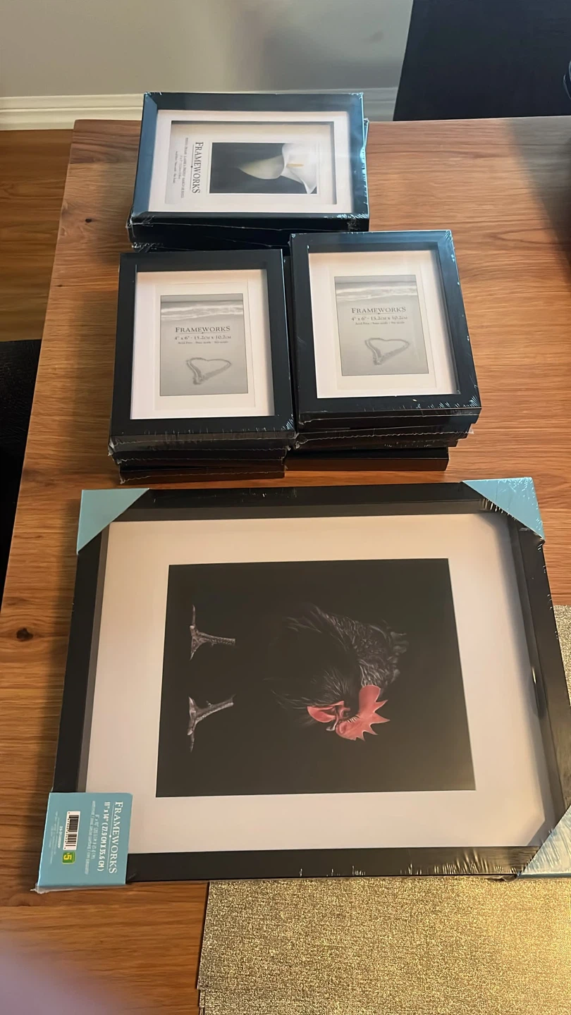 Frameworks Picture Frames Bundle