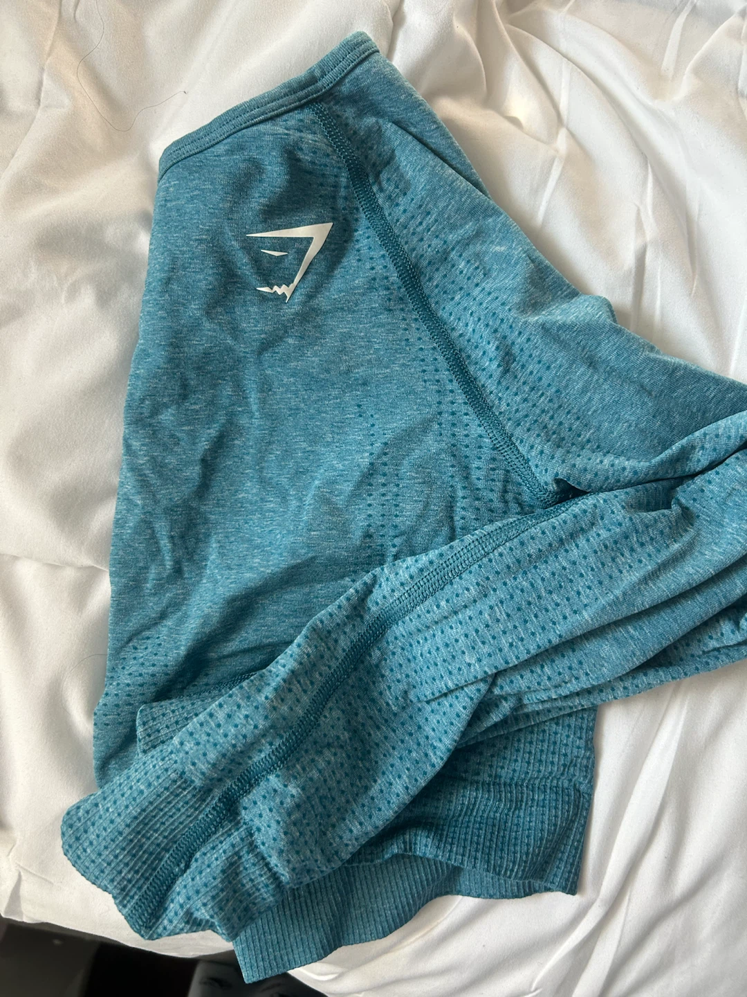Gymshark Seamless Long Sleeve Top Teal