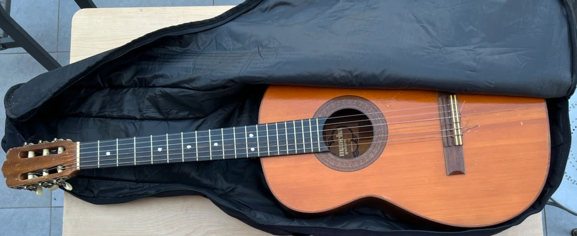 Denver Acoustic Guitar with Gig Bag - photo 3