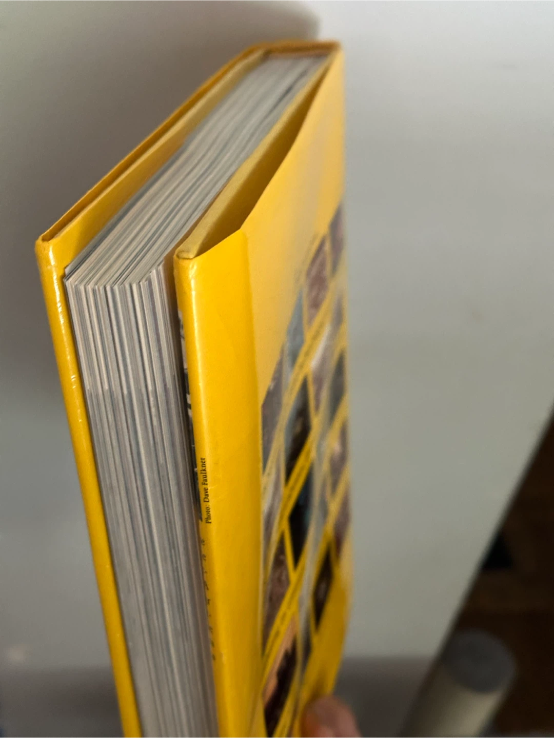 National Geographic Society 100 Years Centennial Book - photo 4