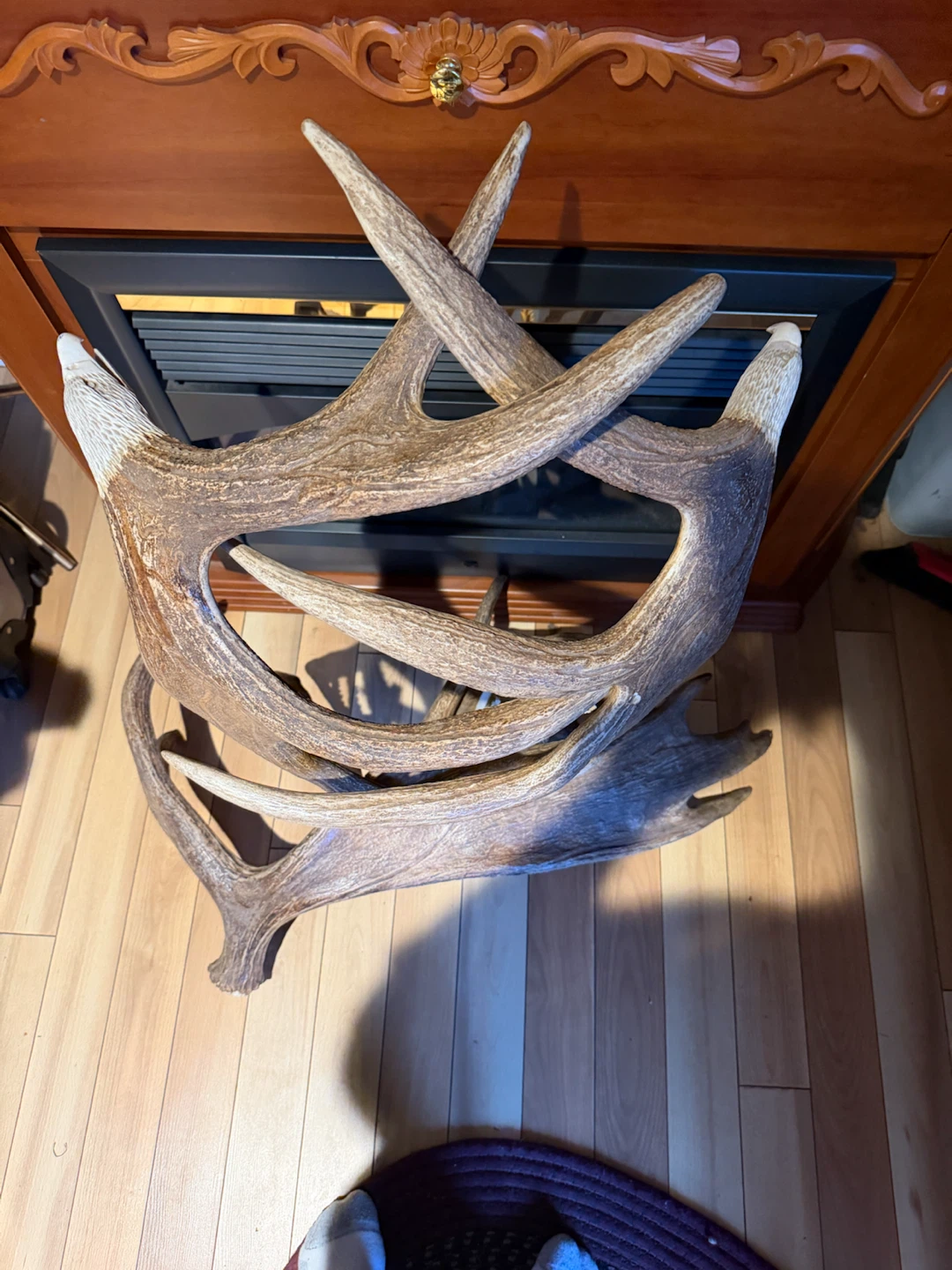 Carved Antler Eagle Sculpture - photo 5