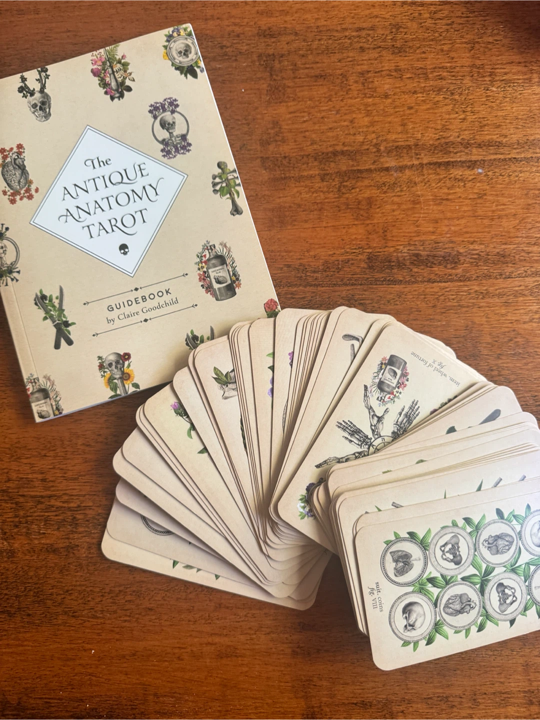 The Antique Anatomy Tarot Deck & Guidebook by Claire Goodchild - photo 3