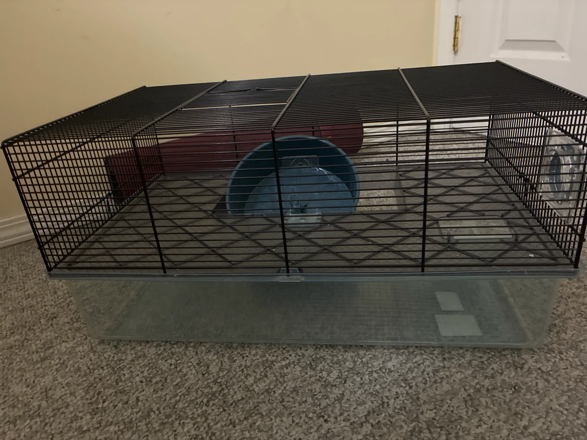 Hamster Cage and Supplies