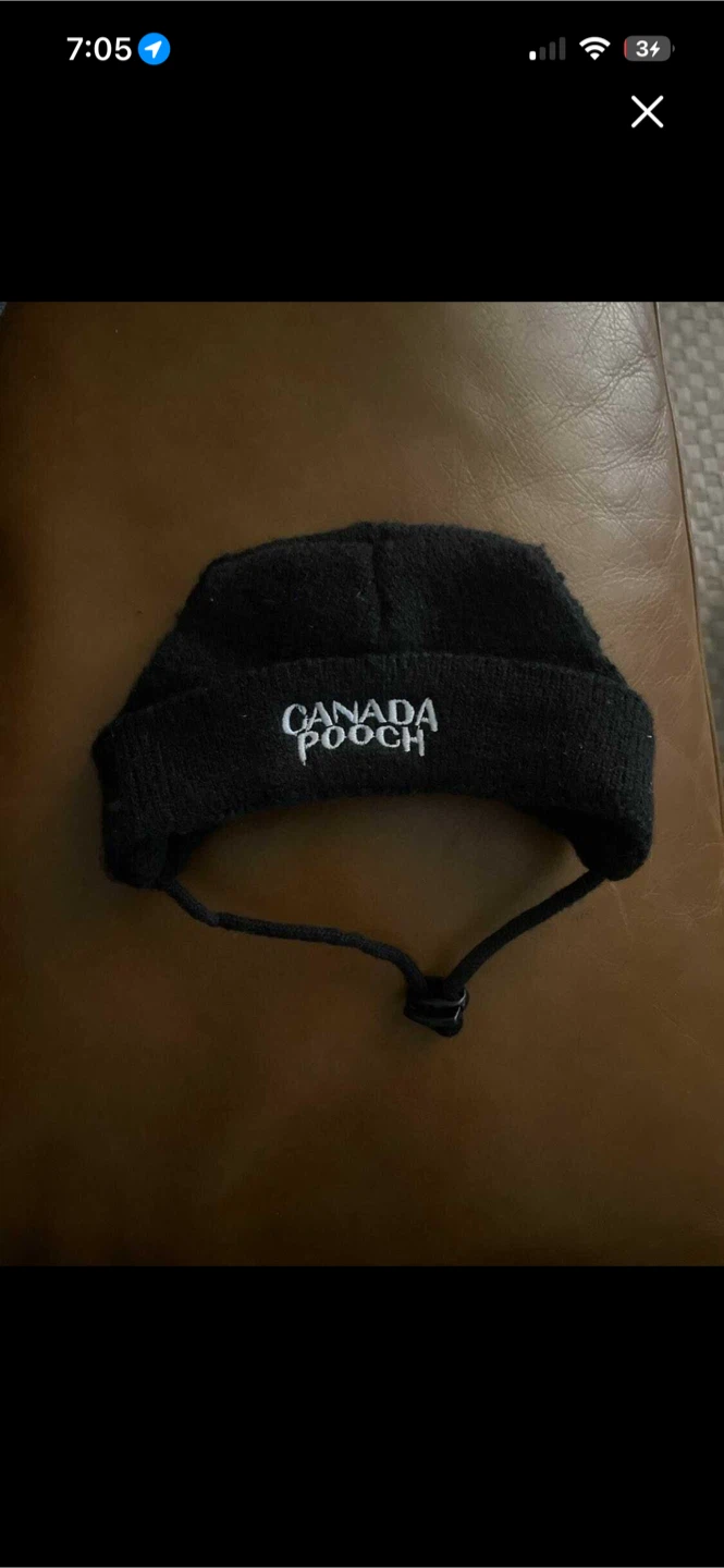 Dog toque - Canada Pooch