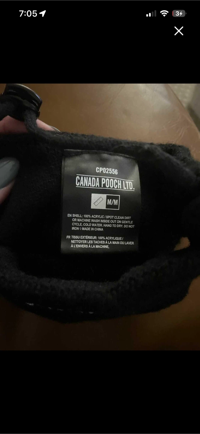 Dog toque - Canada Pooch - photo 2