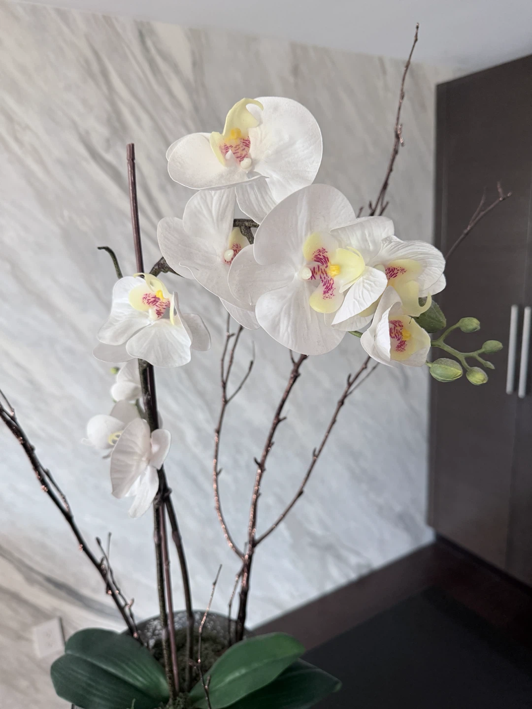Faux White Orchid Plant in Textured Pot - photo 3