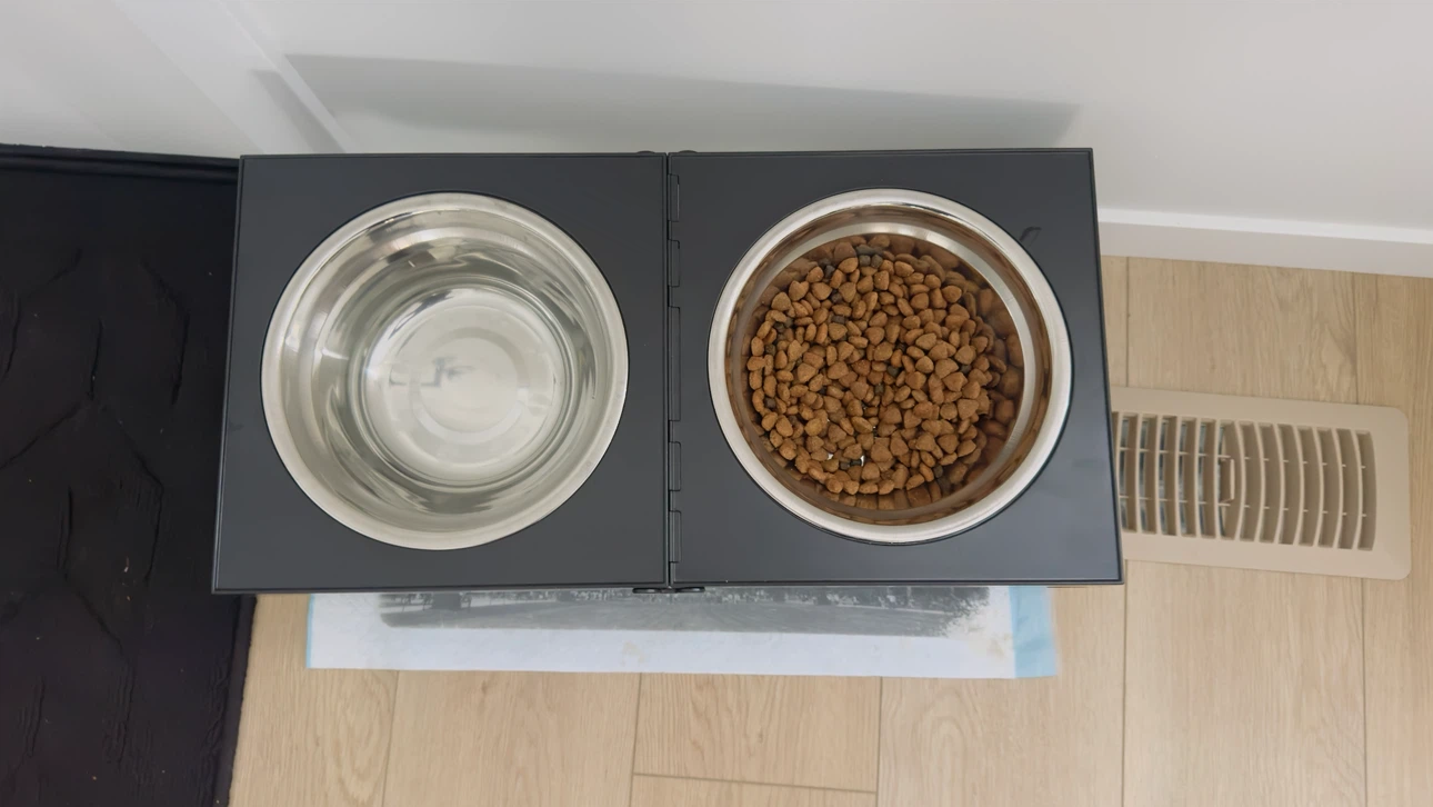 Elevated Pet Bowls - photo 2