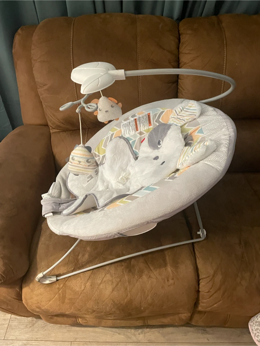 Fisher-Price Baby Bouncer - photo 2