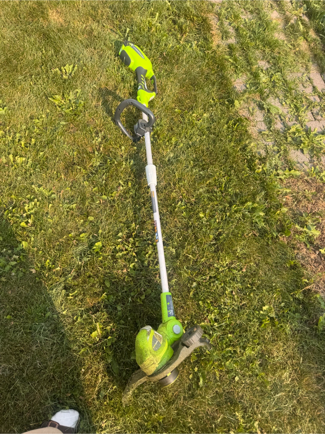 Greenworks Cordless String Trimmer + battery charger - photo 2