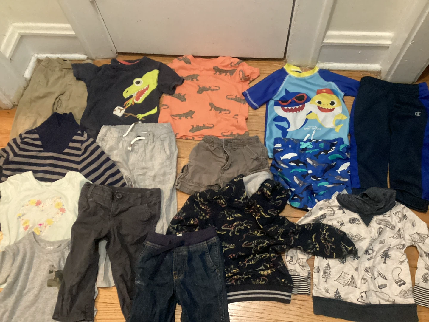 2T Boys Clothing summer/fall Bundle - T-shirts, Pants, Swimwear