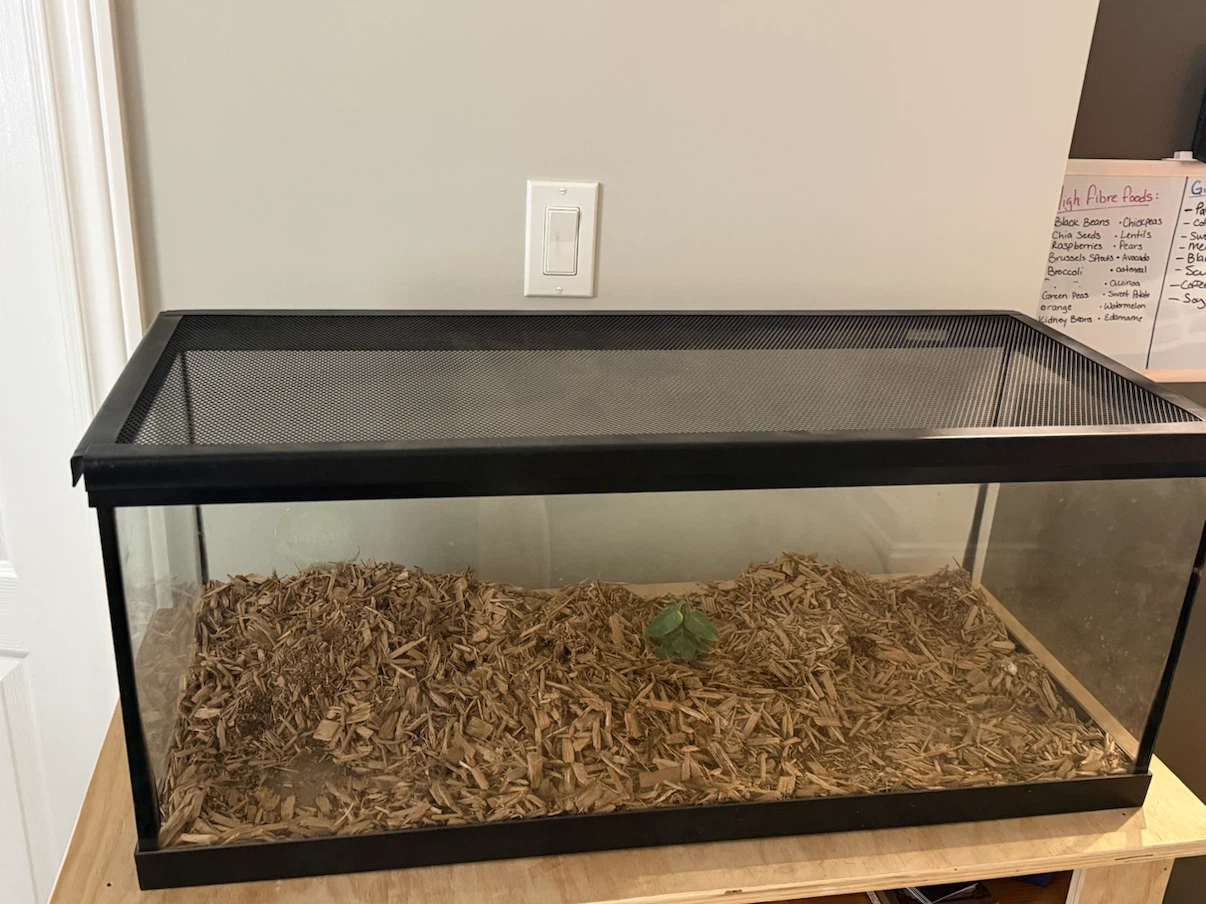 20 Gallon Glass Enclosure