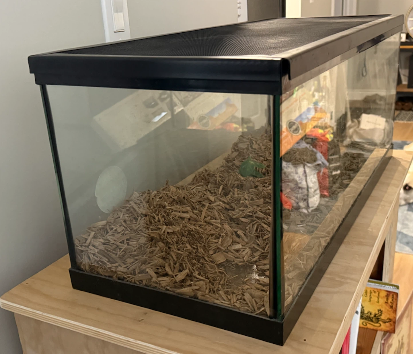 20 Gallon Glass Enclosure - photo 2