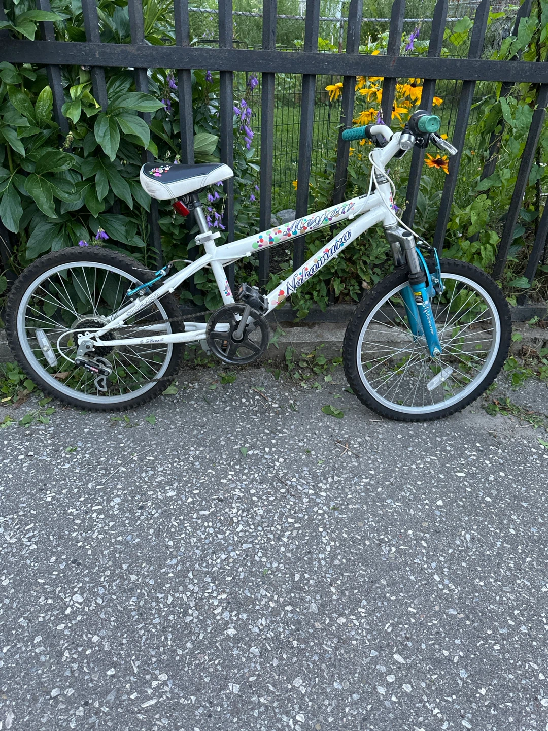 Nakamura Girls Bicycle