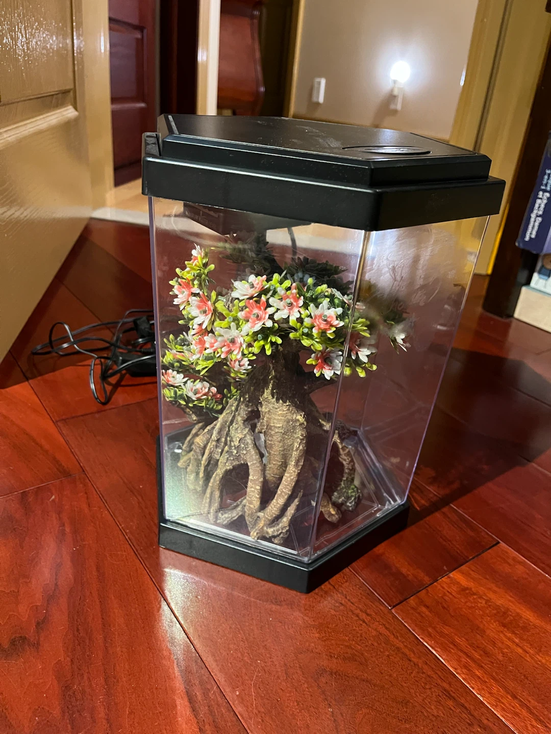 2 Gallon fish tank