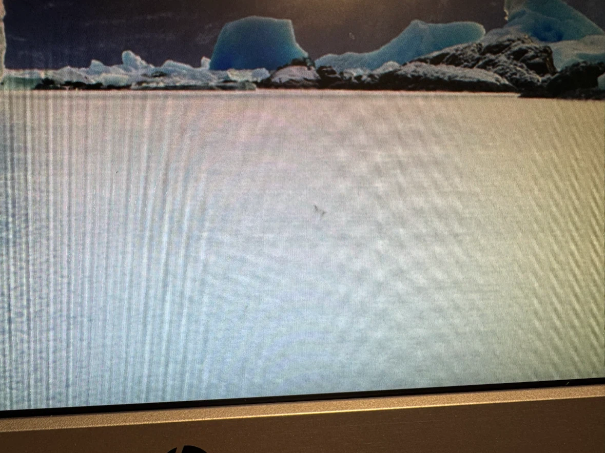HP 27" Monitor 1440p @ 60hz - photo 4
