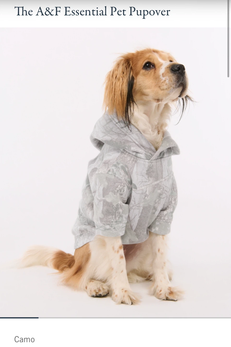 The A&F Essential Pet Pupover-XS