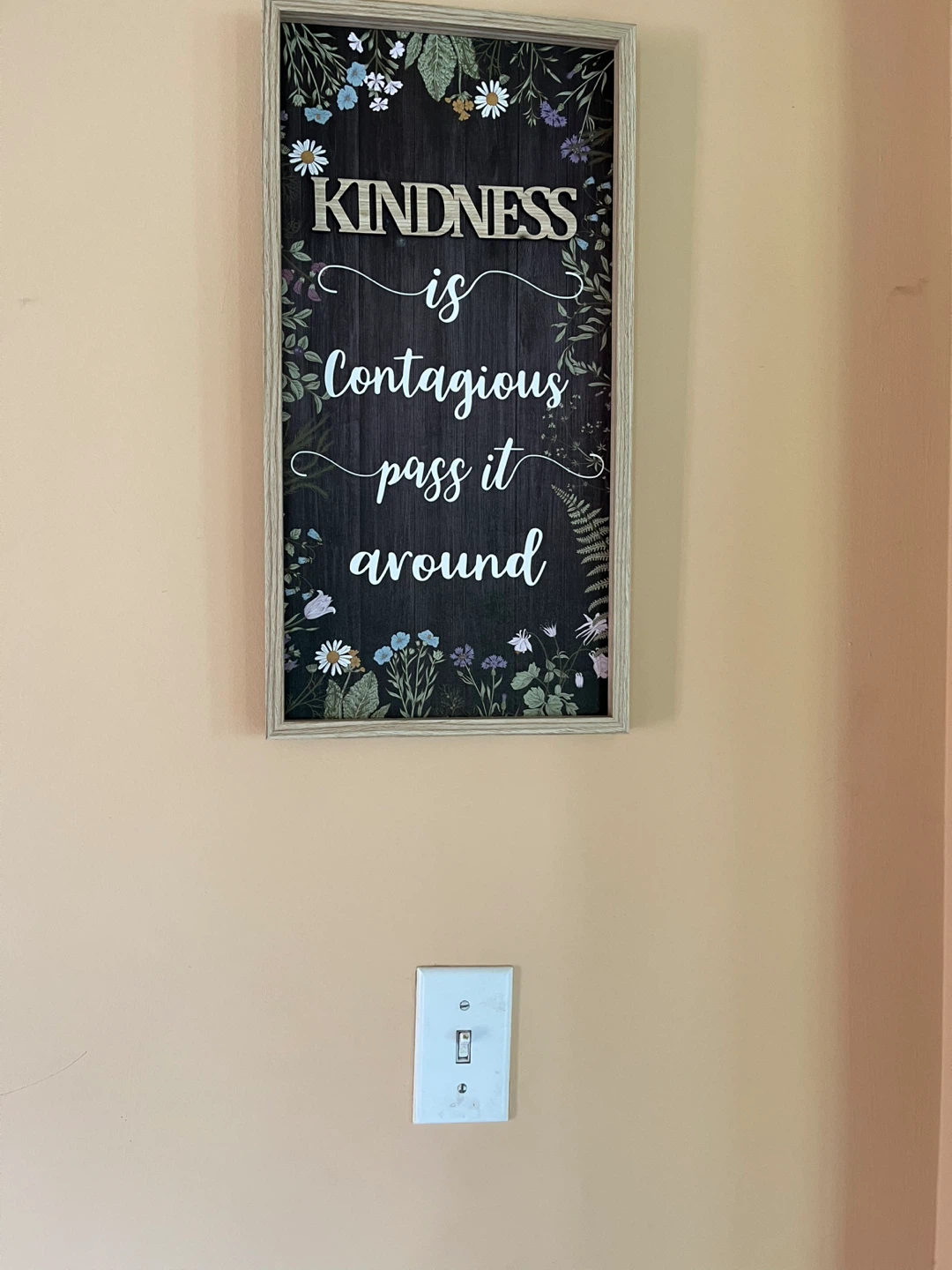 Kindness is Contagious Wall Art - photo 2