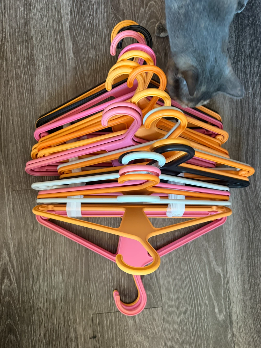 Kangaroo Hangers!