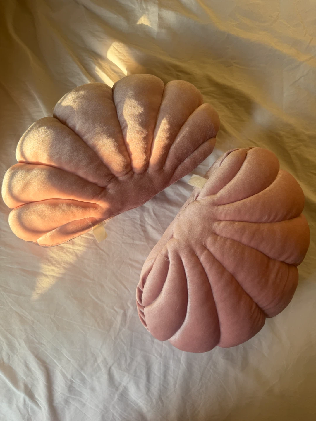 Pink Velvet Shell Pillows (Set of 2)