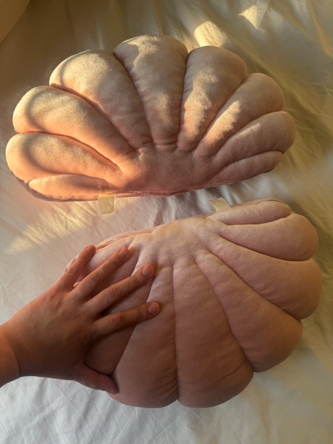 Pink Velvet Shell Pillows (Set of 2) - photo 2