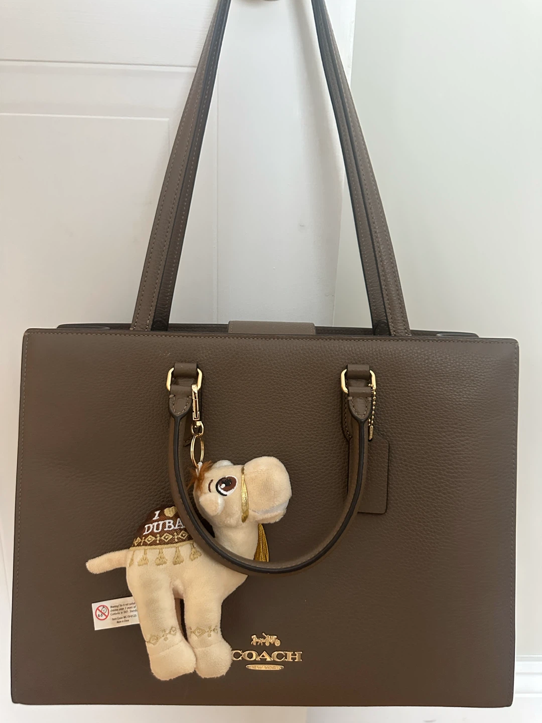 Coach Tote Bag