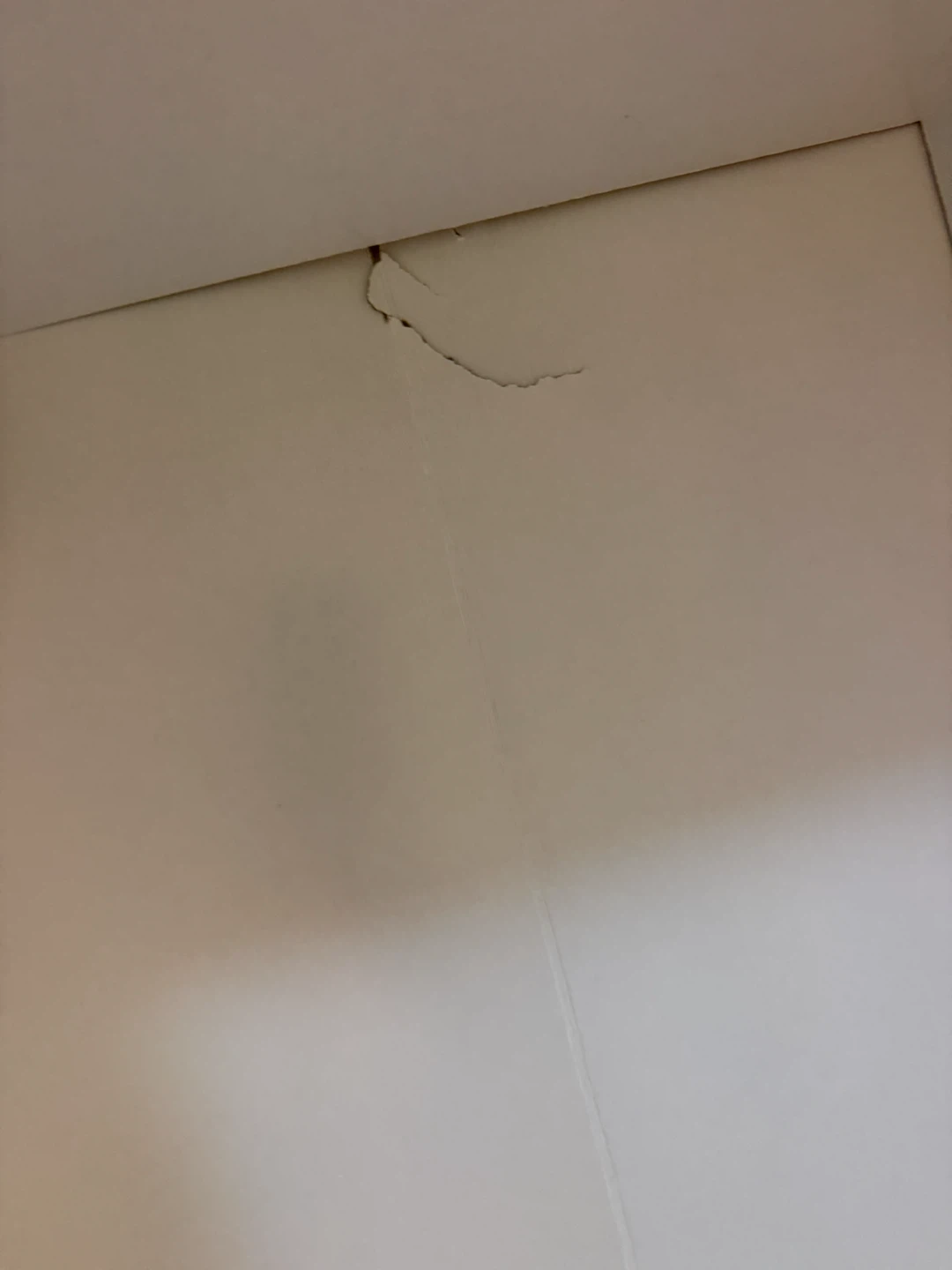 White 5-Shelf Bookshelf - photo 5