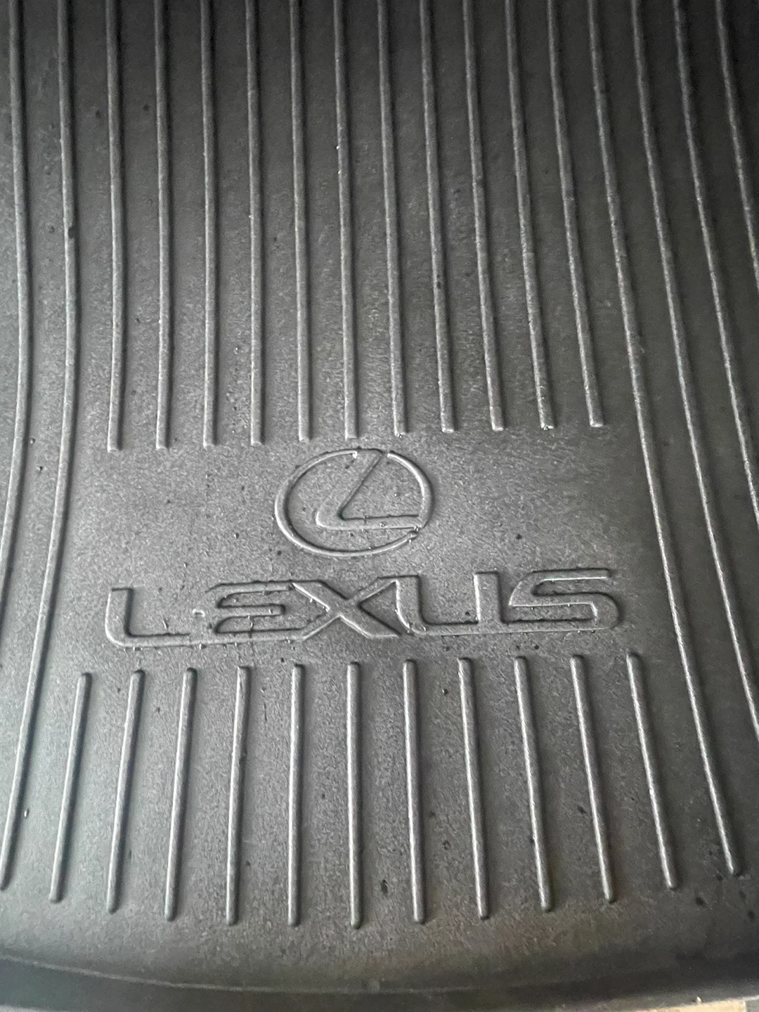 Lexus Cargo Mat