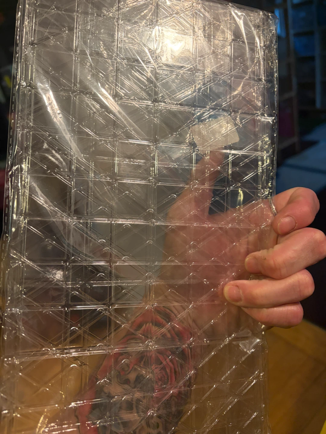 Clear Plastic Tray Insert - photo 2