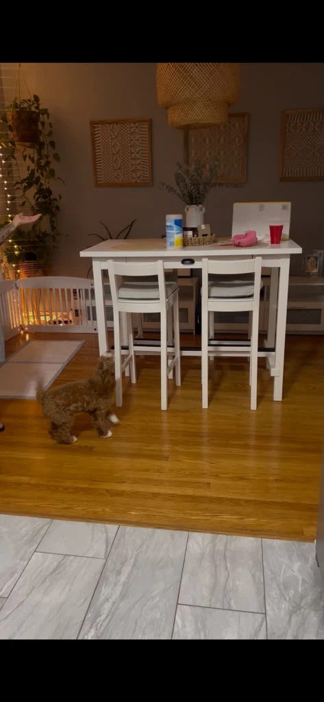 White Counter Height Dining Set with 2 Stools