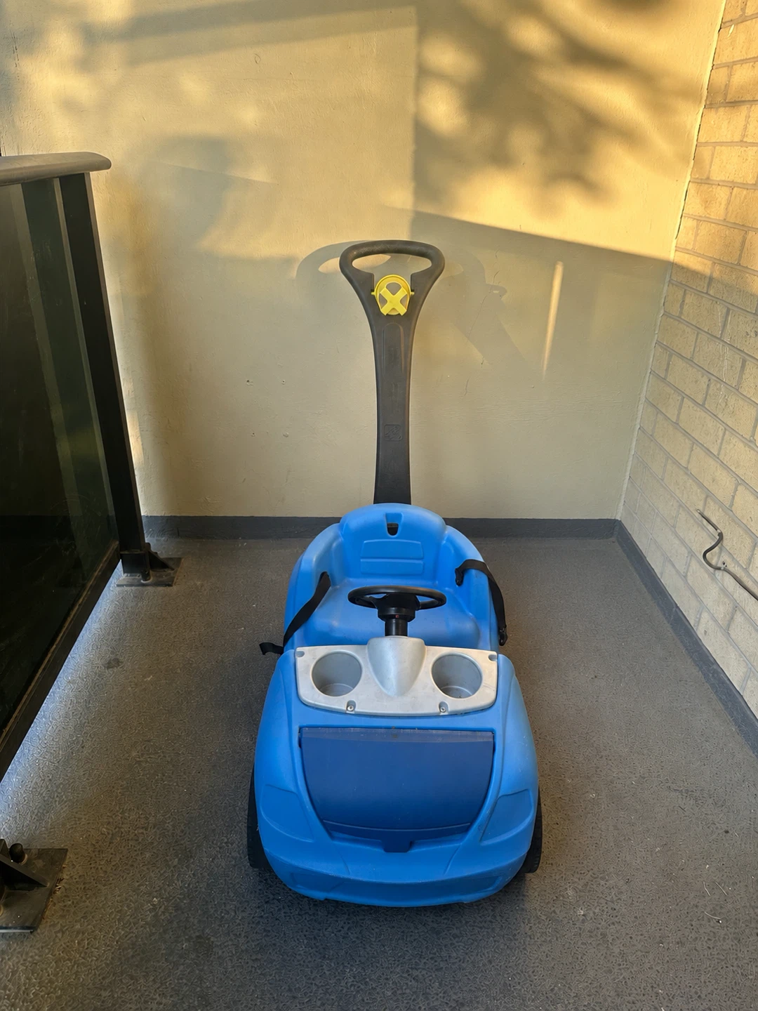 Kids push car