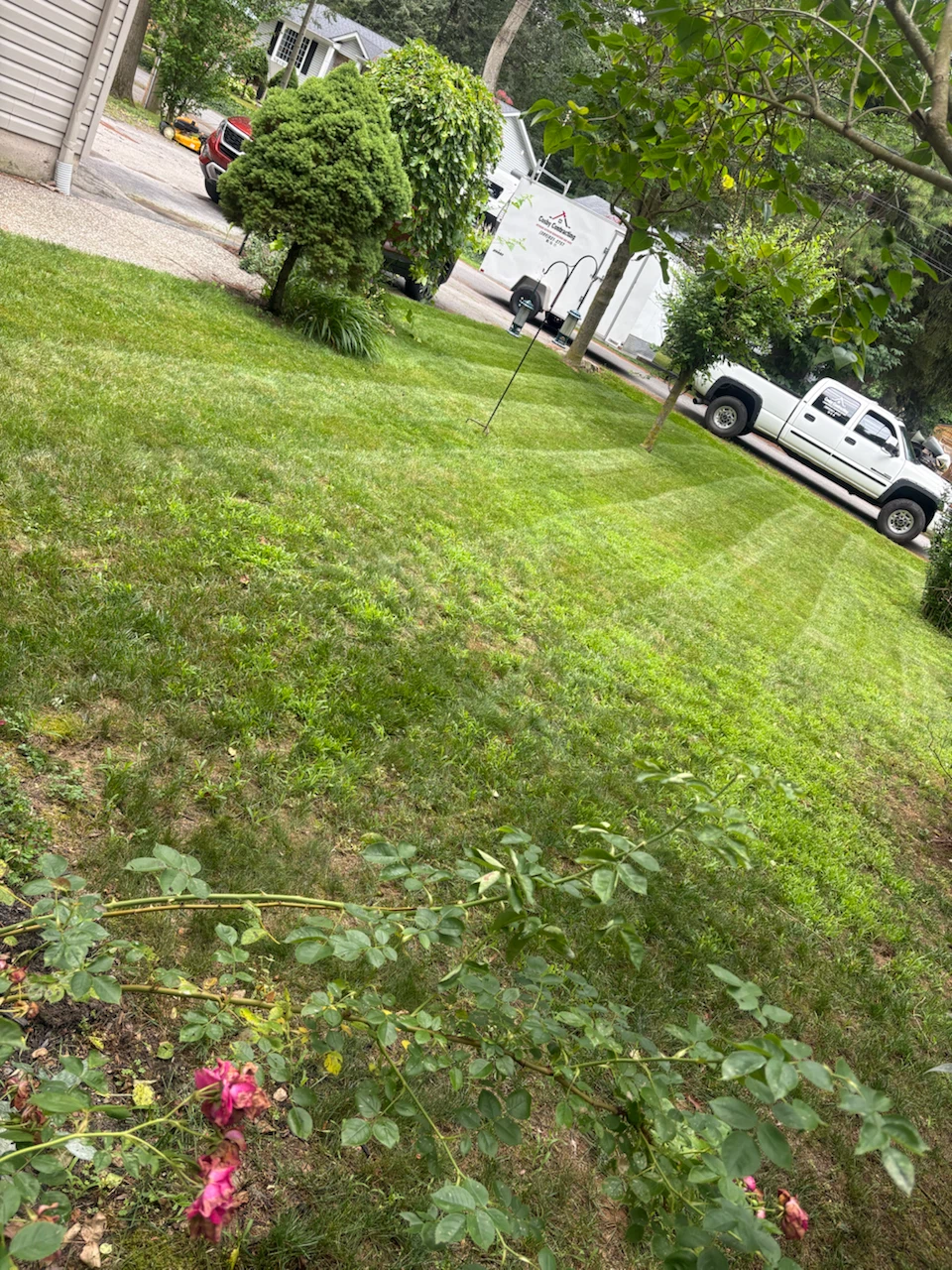 Lawn care - photo 2