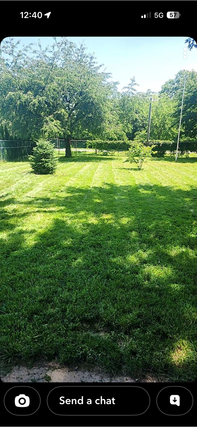 Lawn care - photo 3