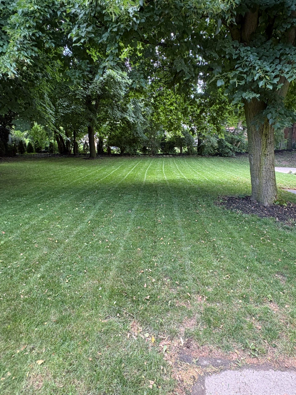 Lawn care - photo 4