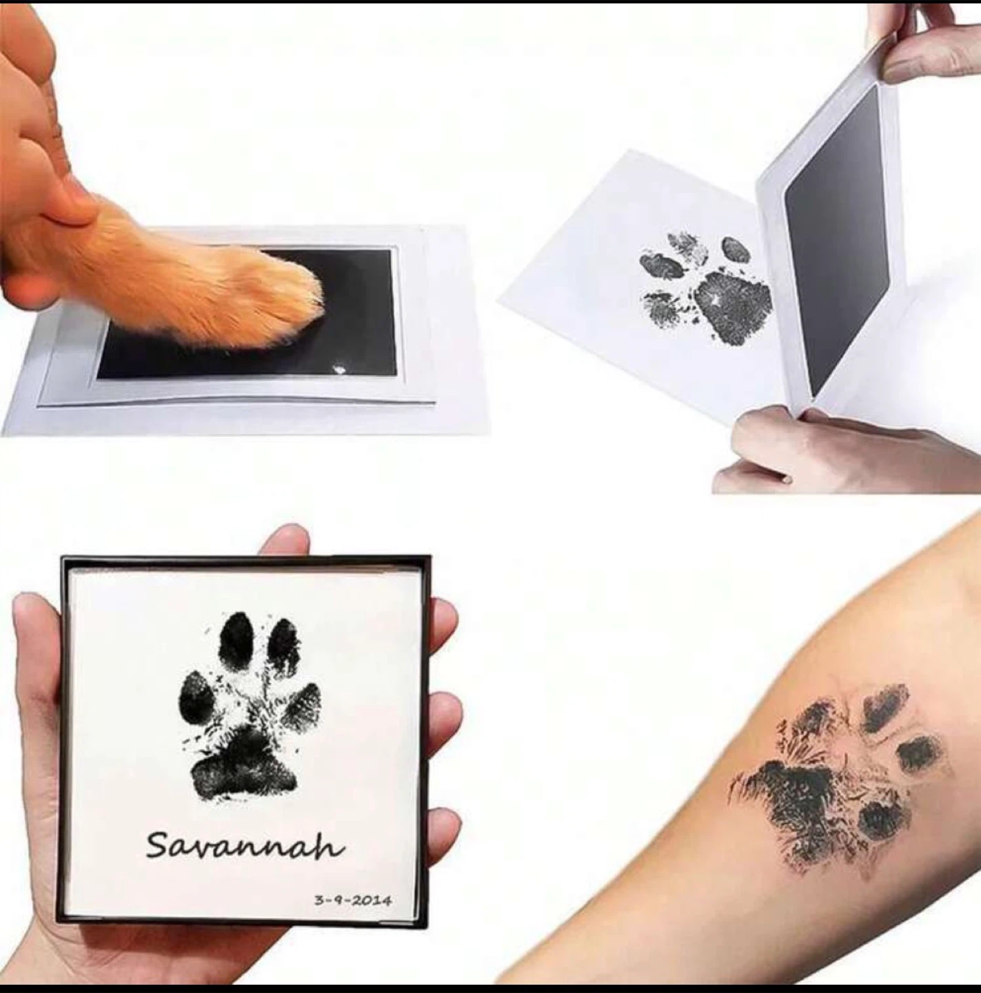 Pet Paw Print Ink Pad - photo 4