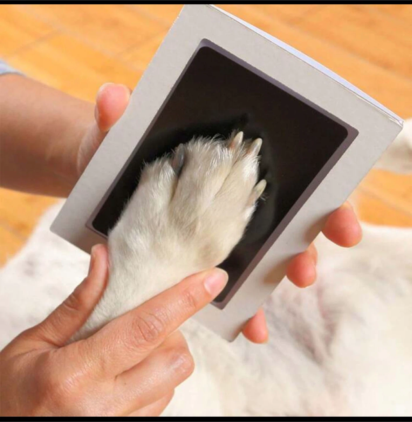 Pet Paw Print Ink Pad - photo 2